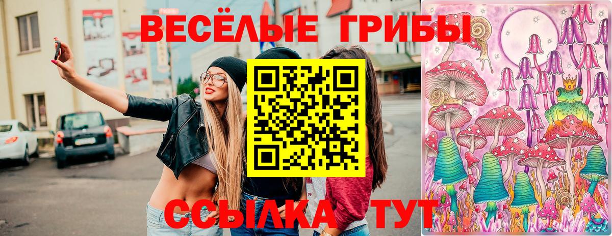 Нальчик  Галлюциногенные грибы MAGIC MUSHROOMS  Галлюциногенные грибы мицелий  Вход с VPN 